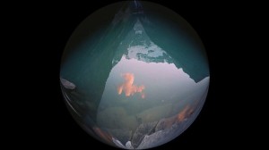 What impact does “AI” have on the use of geospatial data?